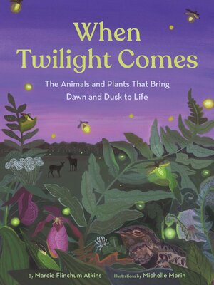 cover image of When Twilight Comes